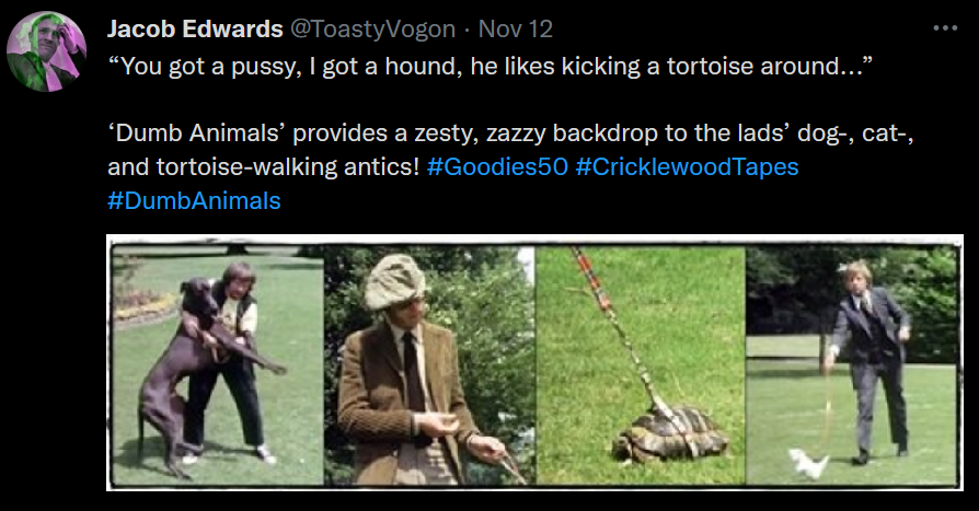 The Goodies take their animals for a walk: Bill a dog; Tim a cat; Graeme a tortoise.