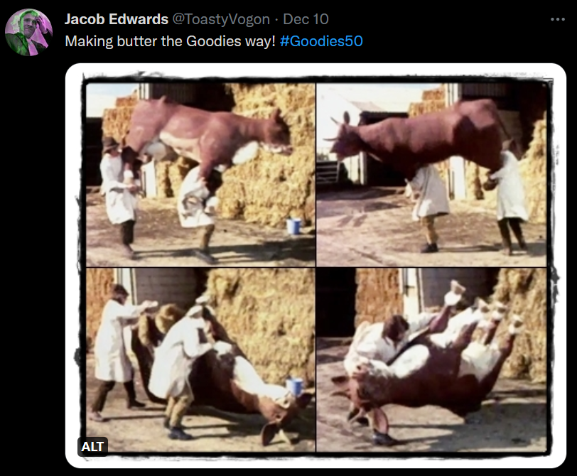 Graeme and Bill carrying and vigorously shaking a cow.